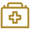 medical kit icon representing medical and health insurance